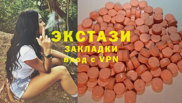 гидра Алексеевка