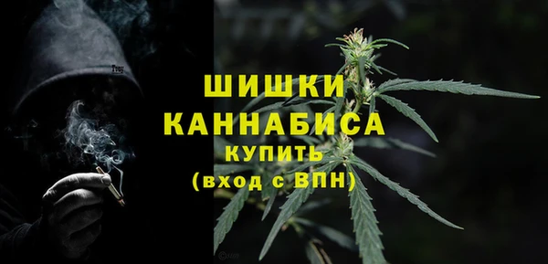 мдпв Бежецк