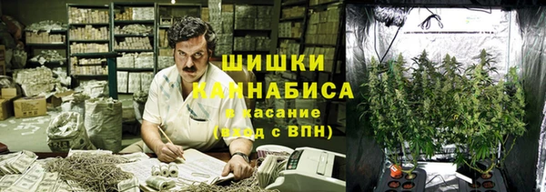 гидра Алексеевка