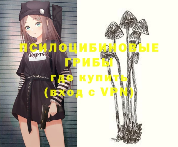 первитин Бабаево