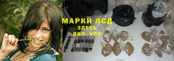 гидра Алексеевка